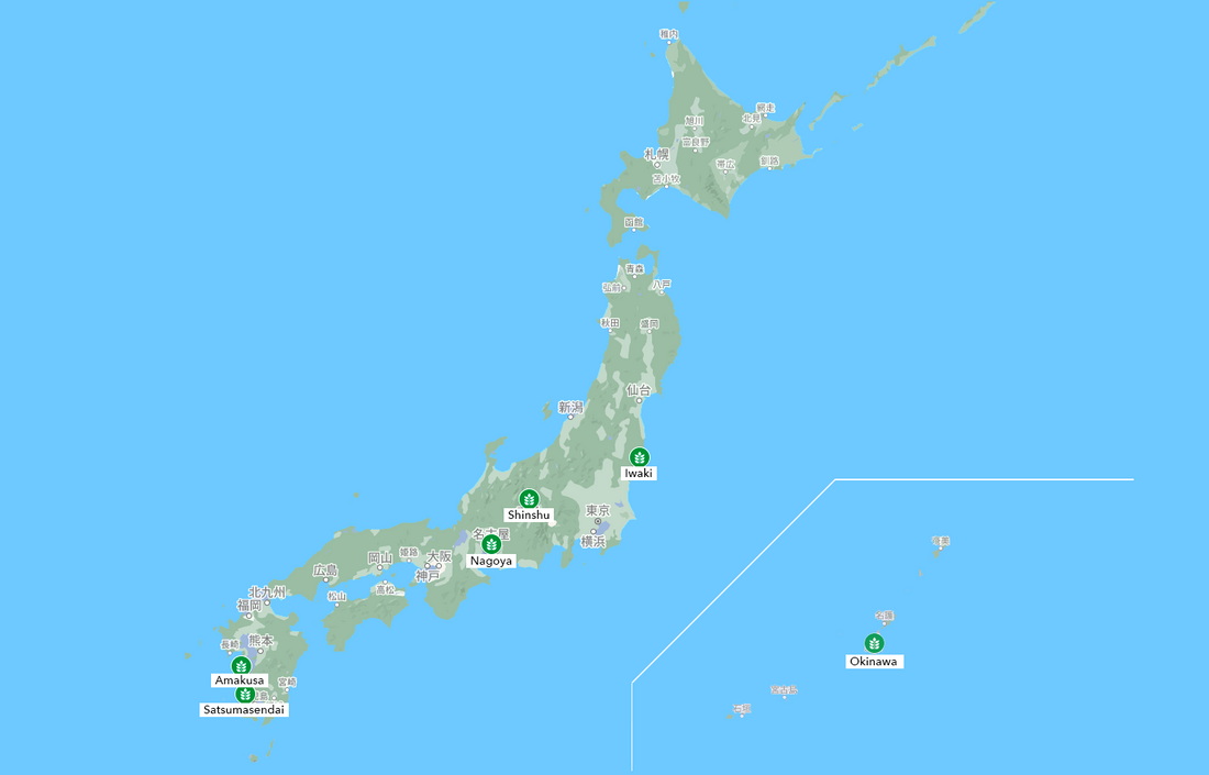 ソルガムの国内圃場、始動しています